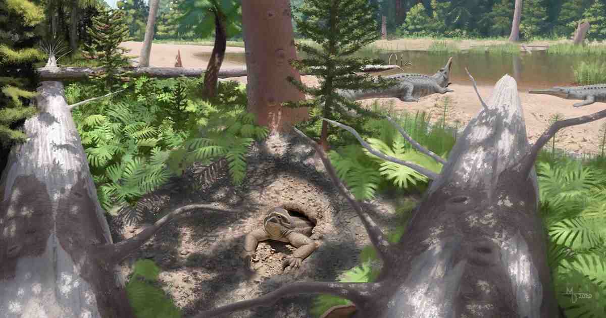 Discovery , Tiny burrowing reptile , Fossils of new species