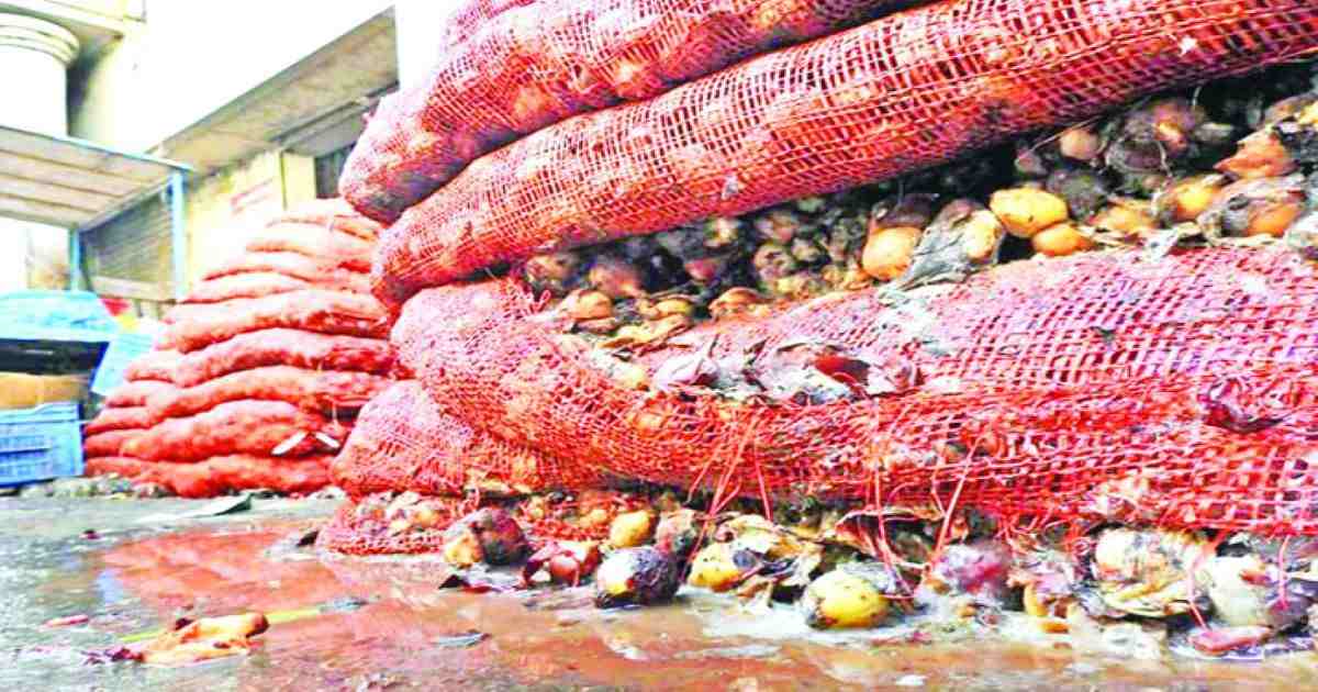 price hike of onion , Onion , rotten onion , Khatunganj onion market , onion importers , Onion prices