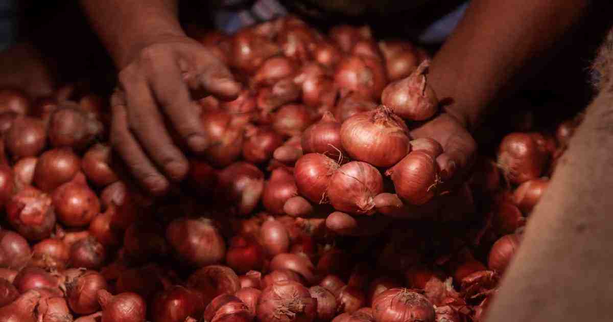 Onion , Chattogram Port , onion from Myanmar , onion-laden containers , Chattogram Customs House