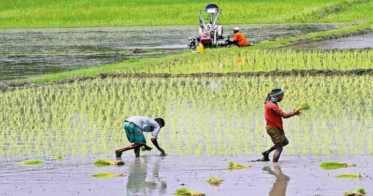 COVID-19 , Climate Fiscal Framework , Bangladesh Delta Plan 2100 , Ministry of Fisheries and Livestock , science-controlled technology , economic prosperity , Govt to focus on agriculture to accelerate economic recovery , economic recovery , agriculture