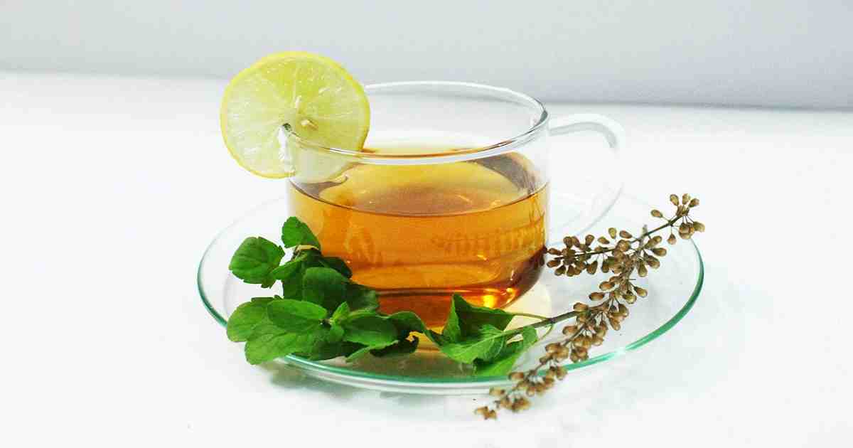 Tulsi , Tulsi Tea Health Benefits , Holy Basil , Tulsi Tea , Tulshi , Tulshi Tea Health benefits , Tulshi Tea