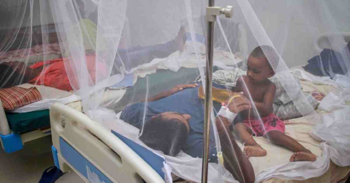 Liver drug treatment , drug treatment , chronic immune thrombocytopenia , chronic hepatitis C infection , Bangladeshi researchers , dengue patients , Dengue , dengue in Bangladesh , dengue cases , dengue fever , Dhaka research , DSS , dengue shock syndrome , DHF , fatal dengue haemorrhagic fever