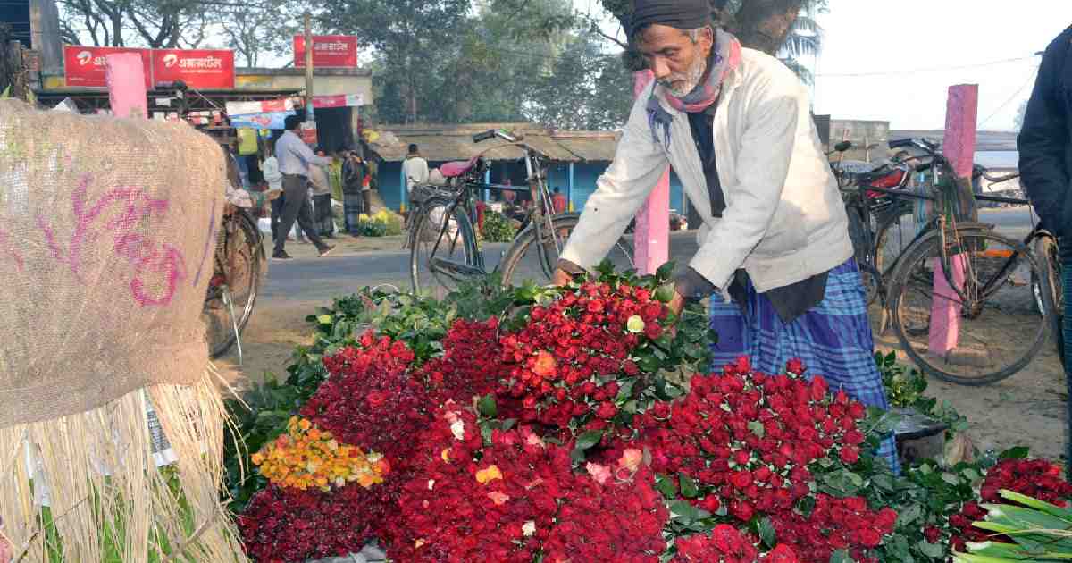 Godkhali Flower Market , financial loss for coronavirus , Amphan , coronavirus pandemic , Flower cultivation in Jashore , Jashore flower Market