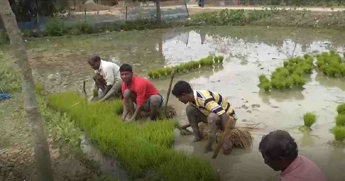 Good boro yield , good harvesting , Zahid Faruk , before the flood , State Minister for Water Resources