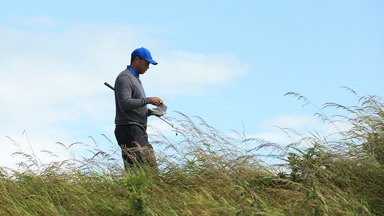 Woods , surgical procedure