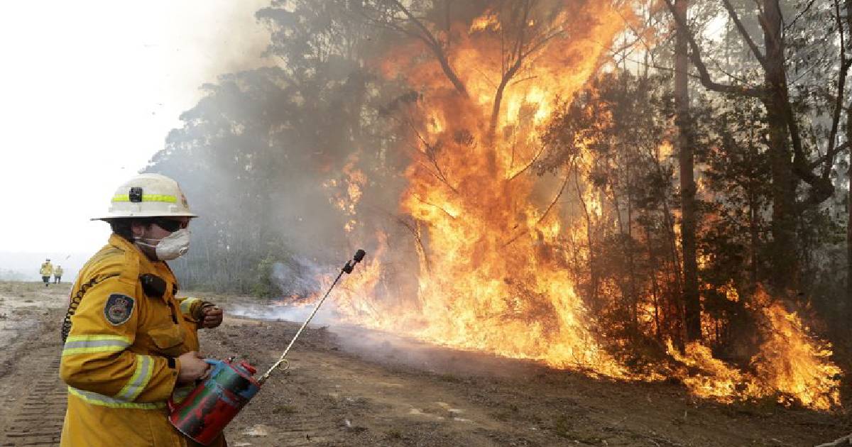 Australian bushfire crisis , Australian government , Environment Minister Sussan Ley