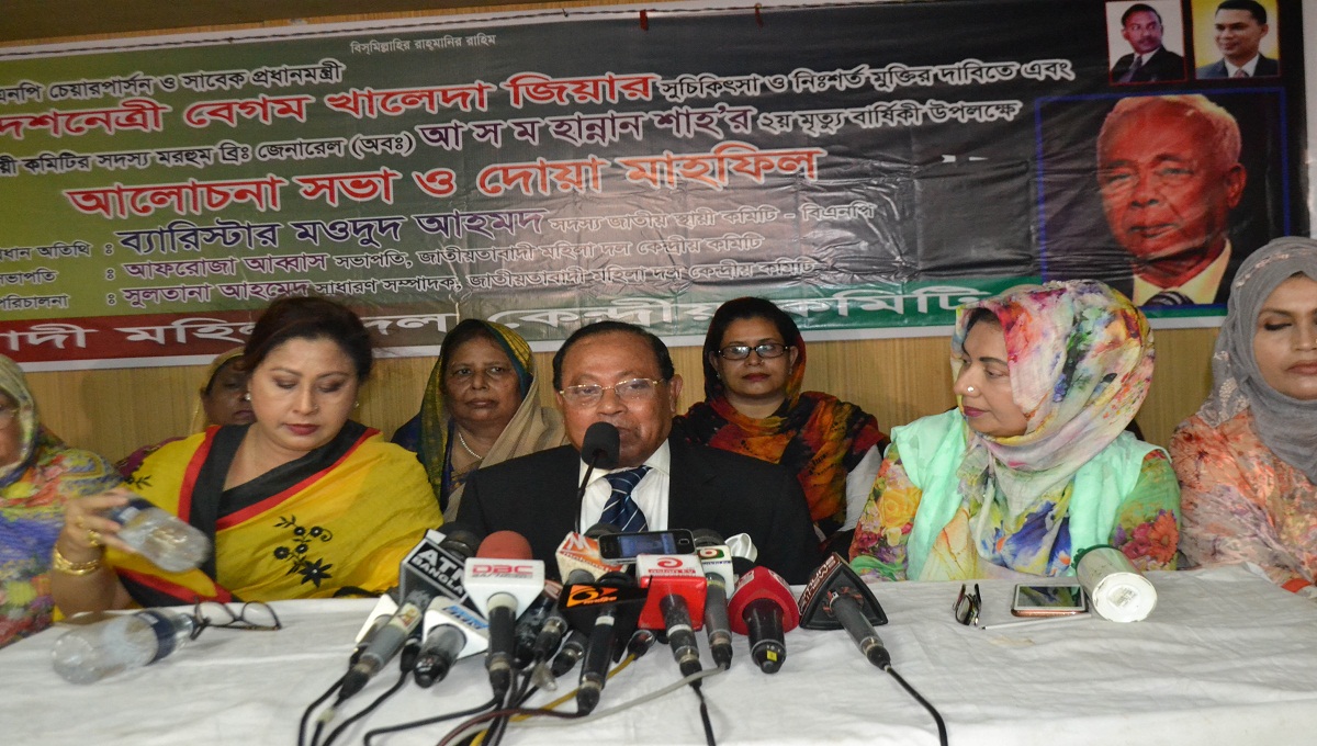 BNP , Politics