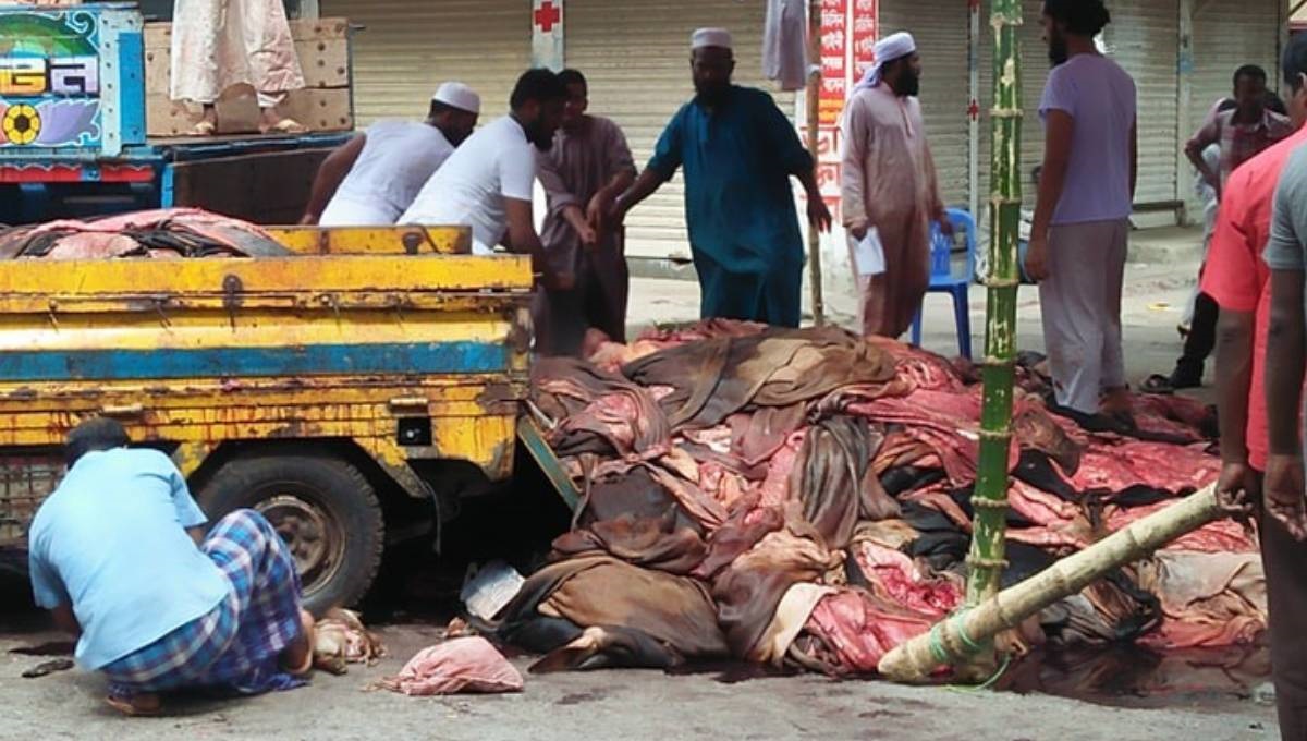 rawhide price , Obaidul Quader