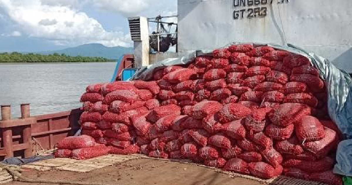 Onion , Import , Myanmar