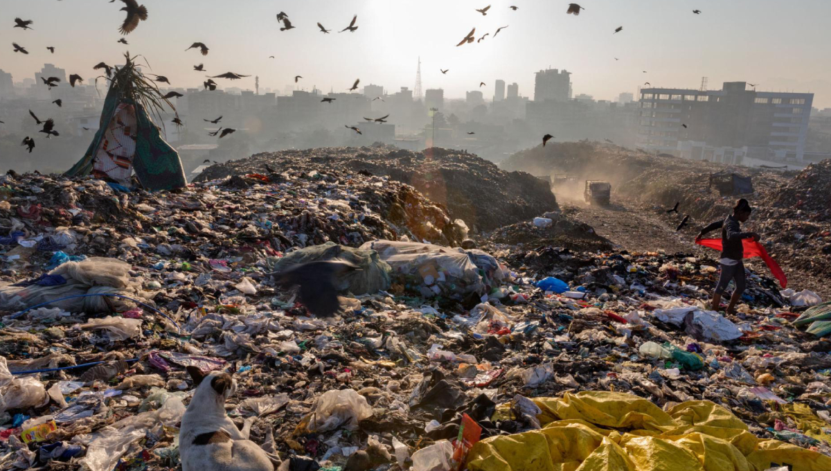 Waste-to-Energy project , LGD