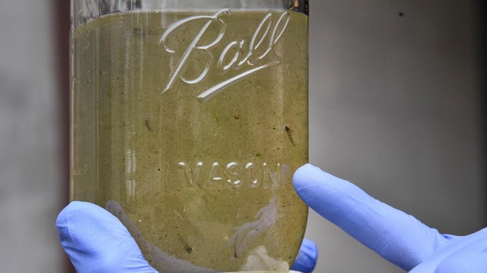 microplastics , water , UN