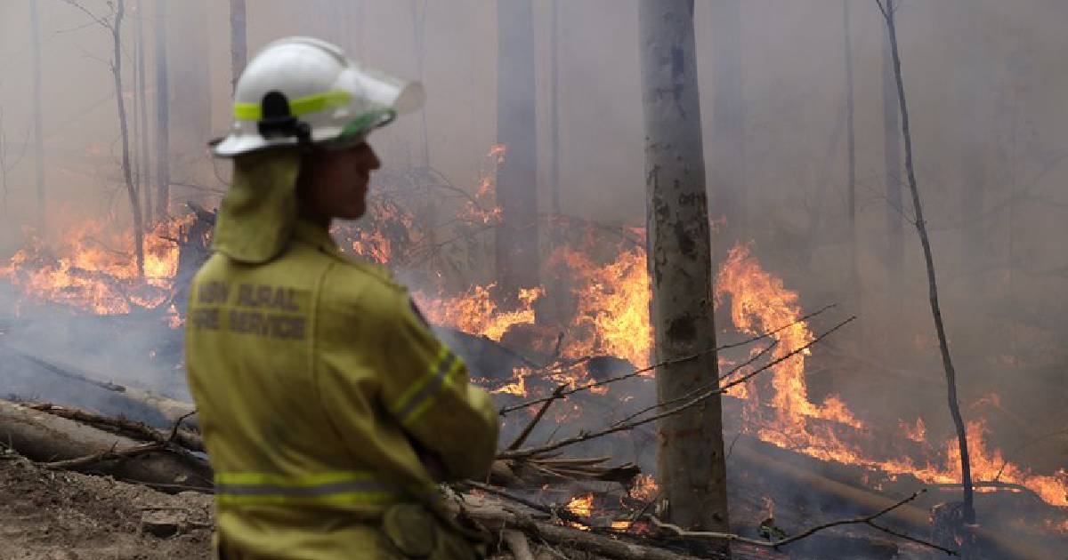 Wildfire , Climate Change , Australia , Australia's wildfire , Bodalla , New South Wales