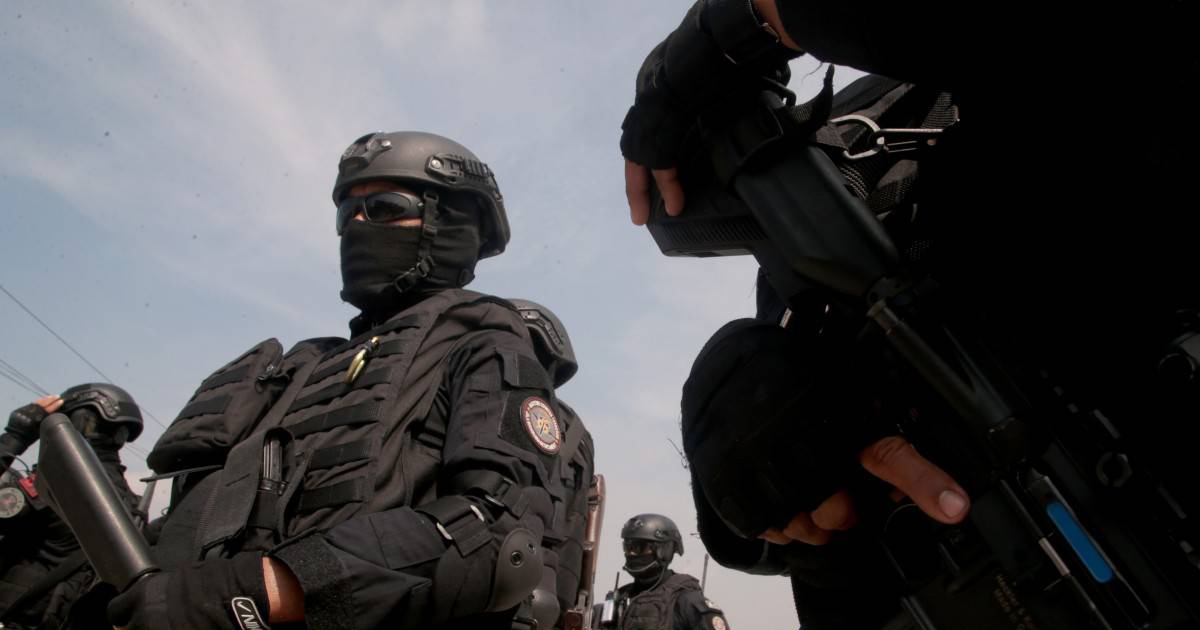 Alleged militants kill