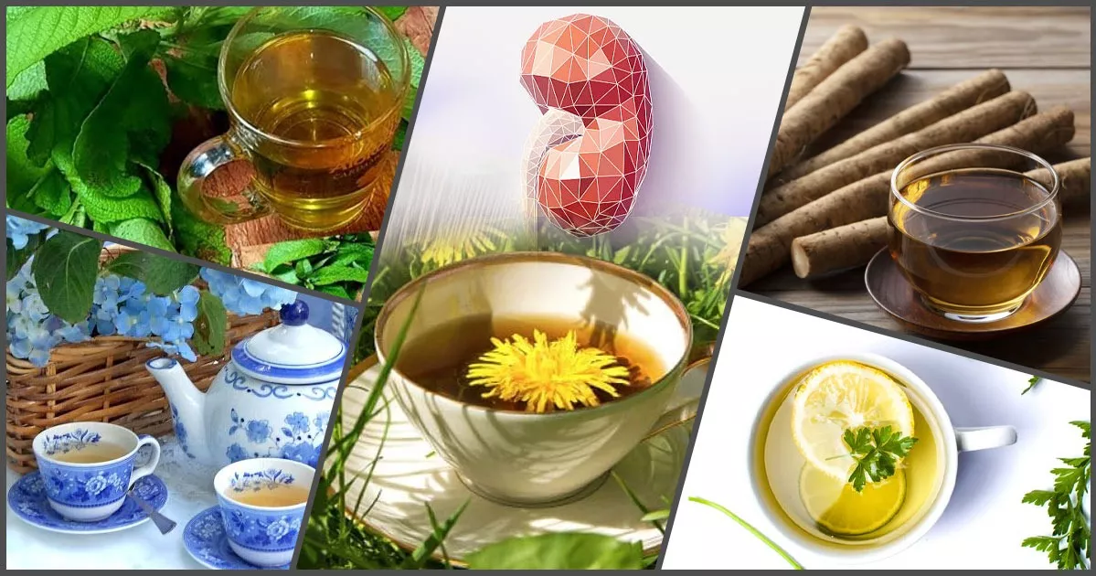 Top 10 Kidney Cleansing Teas with Recipes