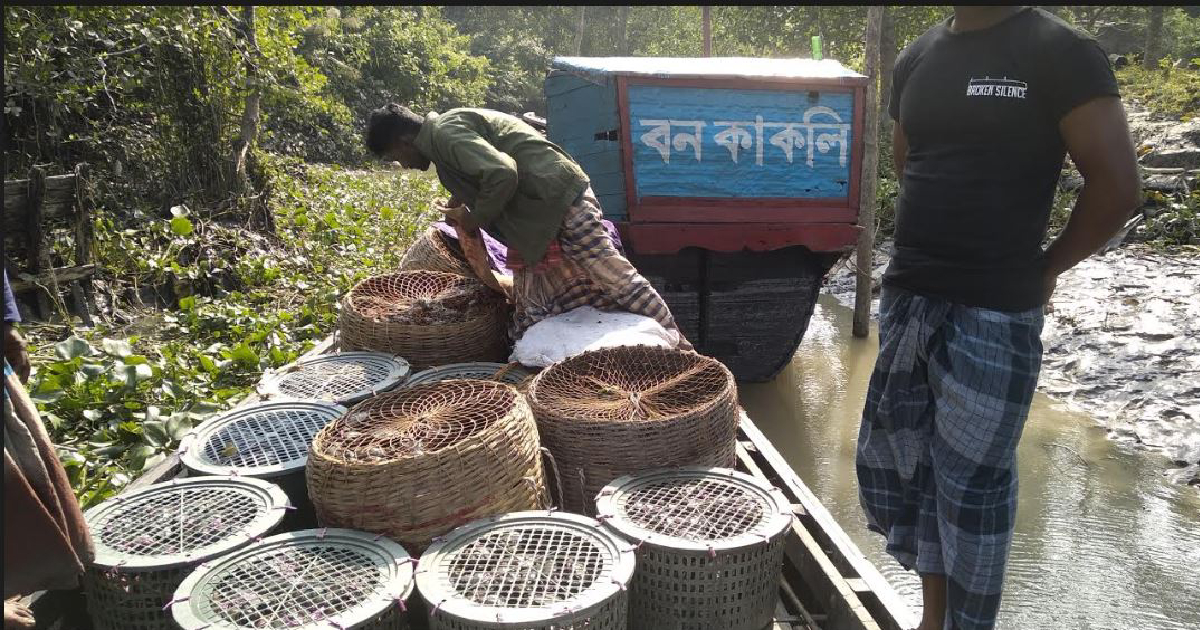 23 fishermen held
