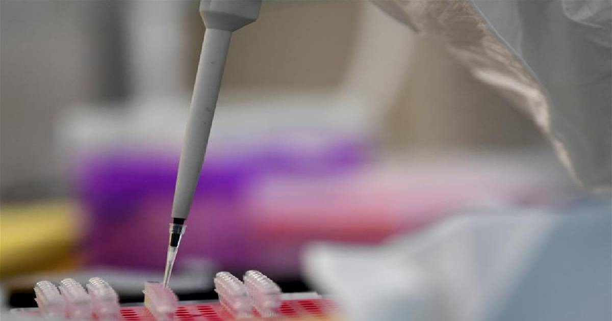 coronavirus , singapore , Bangladeshi , Foreign Affairs