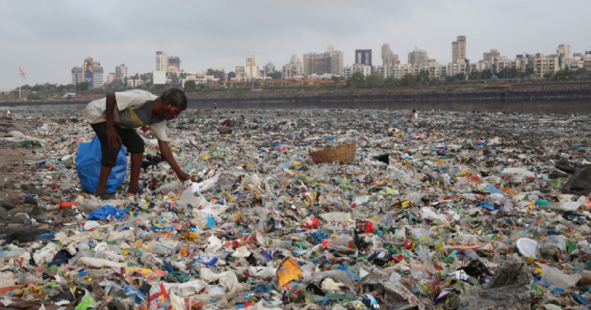 microplastic pollution , Study , risk , Scientists