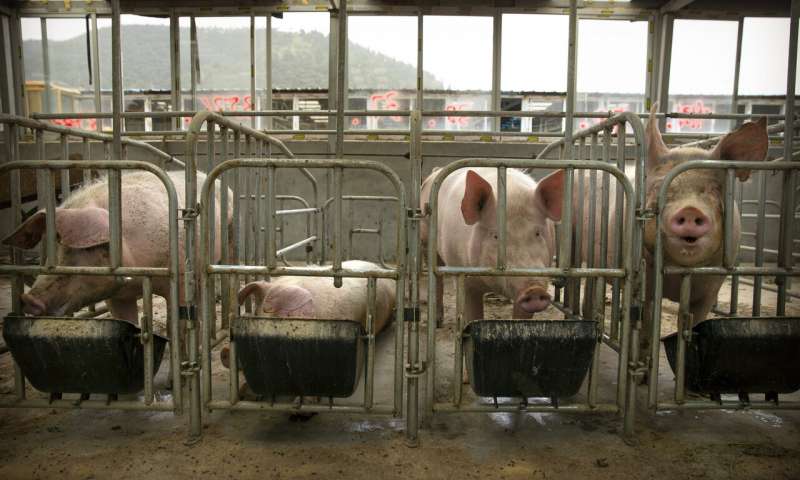 China , Scientists