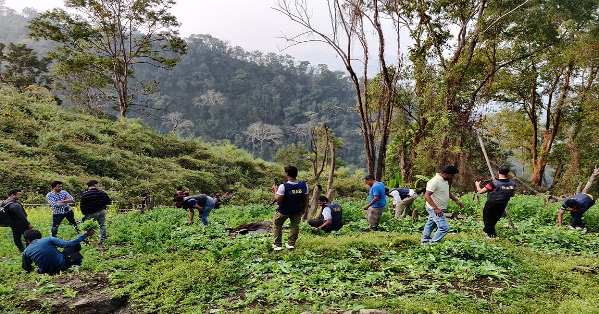 Crime , Anti-Narcotics Drive , Rapid Action battalion (Rab) , Poppy fields , Bandarban , Rab-7