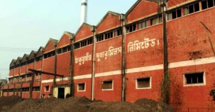 Thakurgaon ,
