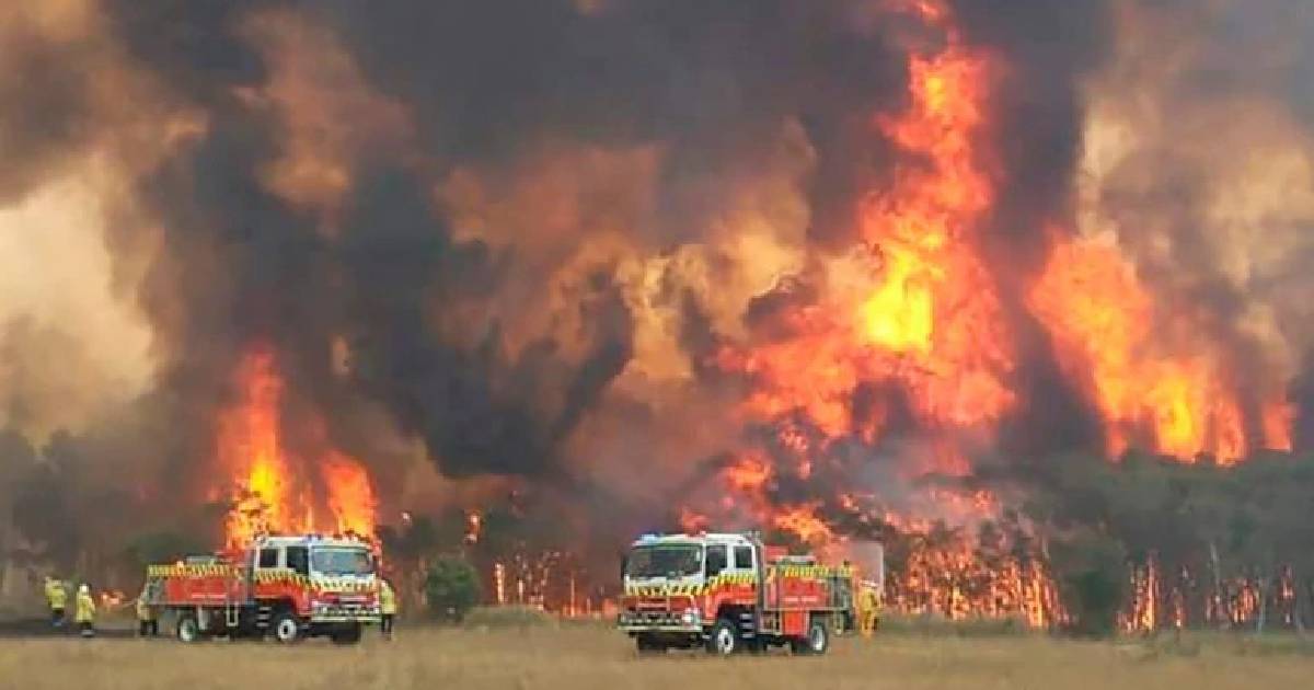 thunderstorms , Australian bush fires , wildfires ravage Australia , wildfires